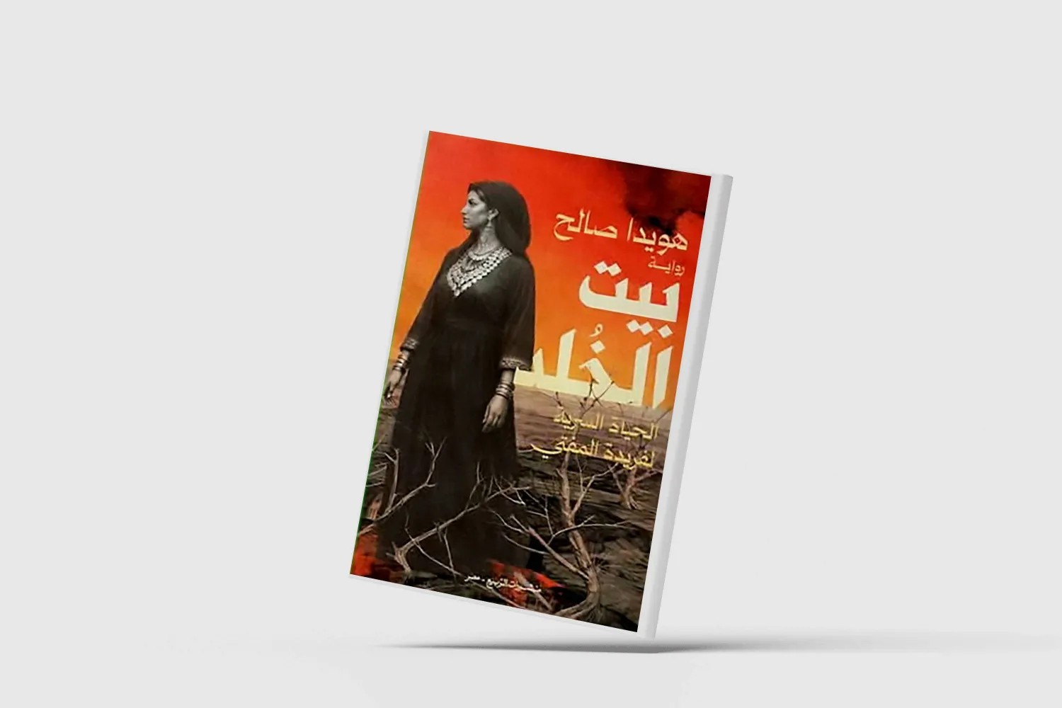 لوحة بصرية لمصر في بدايات القرن الـ 21