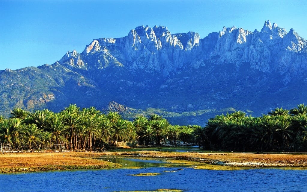 الاستعدادات للاحتفاء بيوم اللغة السقطرية في أرخبيل سقطرى